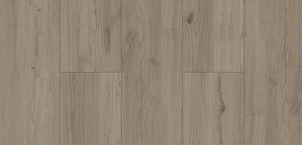 padrao-studio-miami-976x468